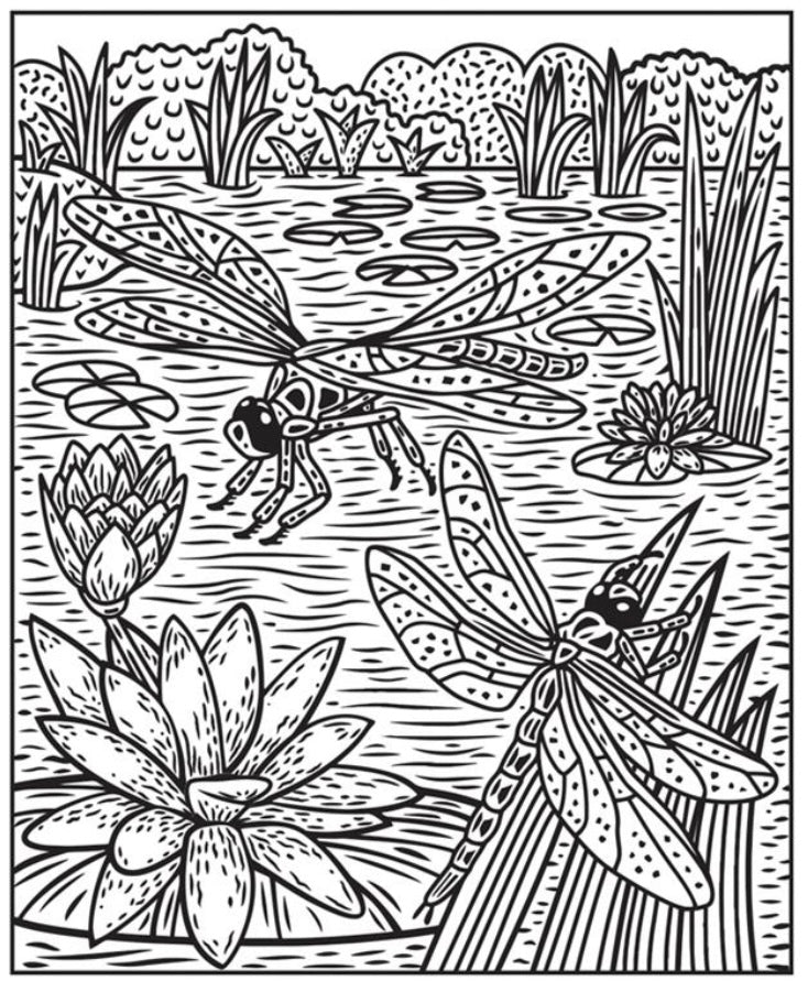 Bugs Magic Painting Book