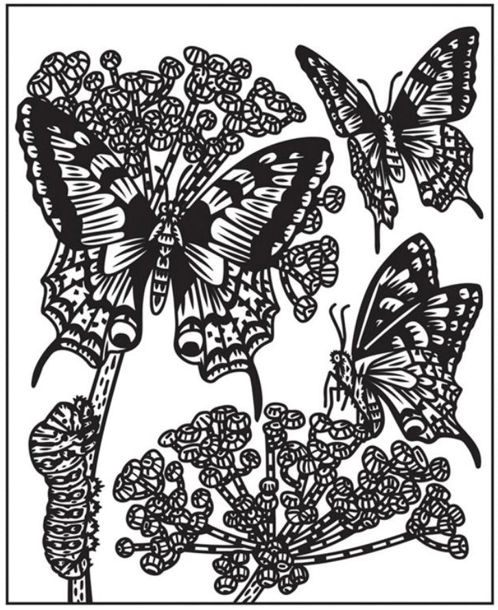 Bugs Magic Painting Book