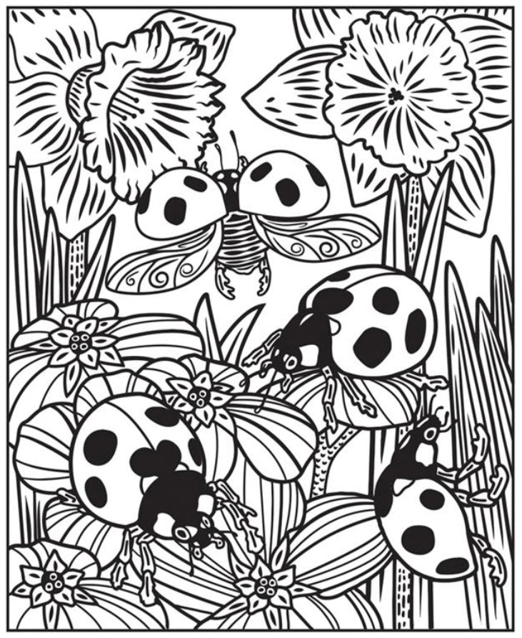 Bugs Magic Painting Book