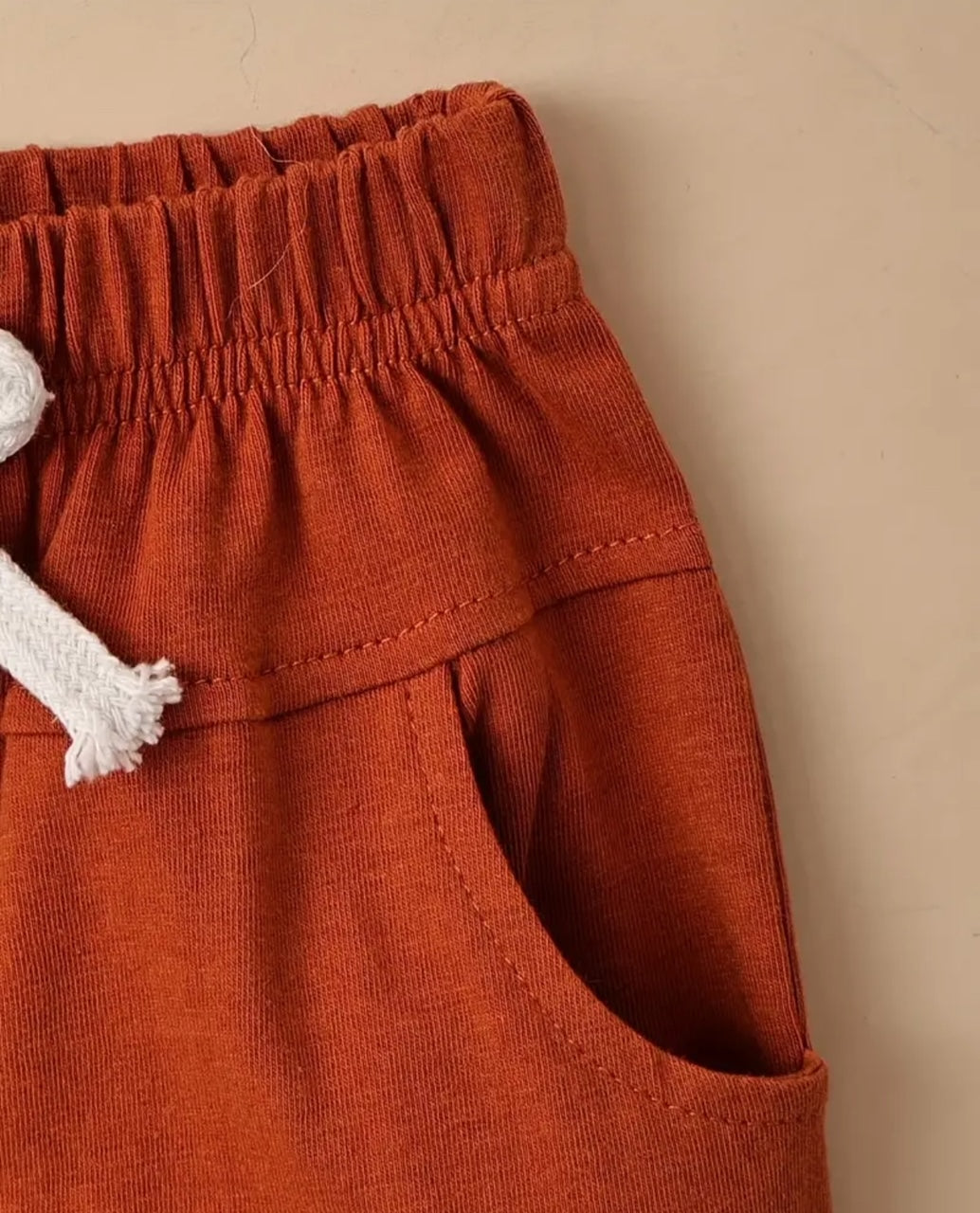 Burnt Dino Boy's 2-pc short set