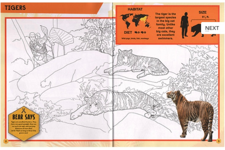 In the Jungle Coloring Book