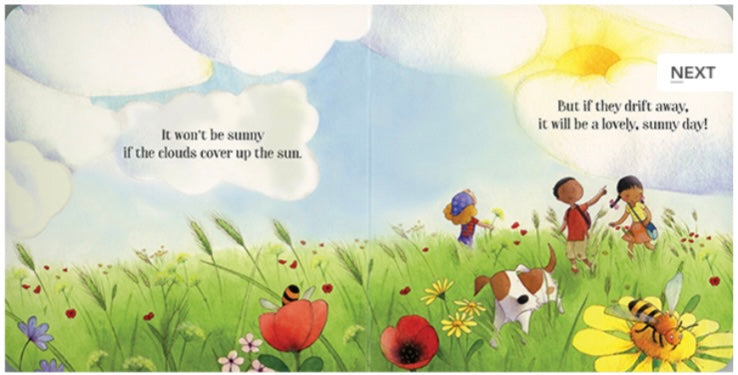 The Sunny Day Little Board Book