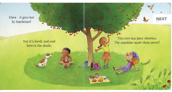 The Sunny Day Little Board Book