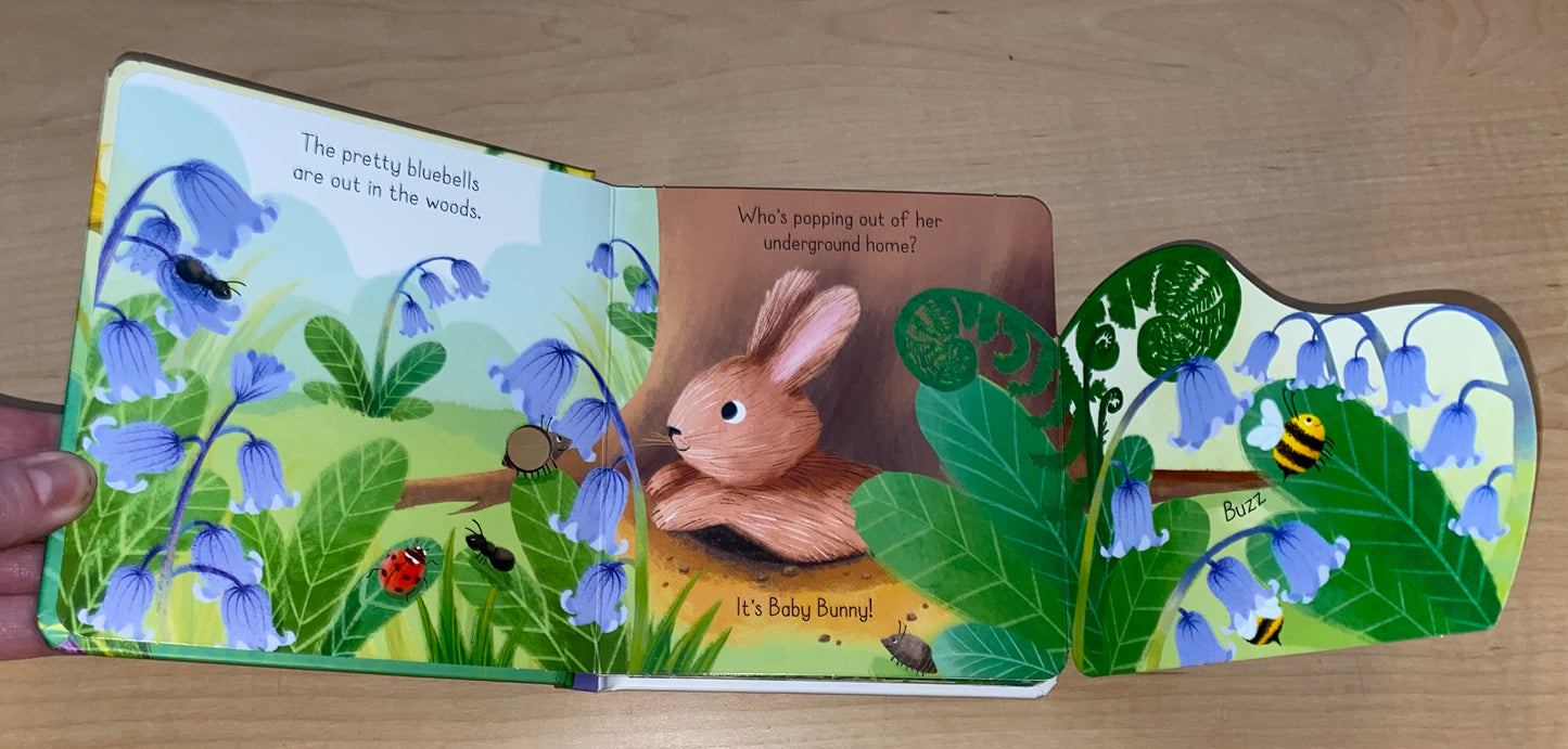 Little Lift and Look Bunny Book