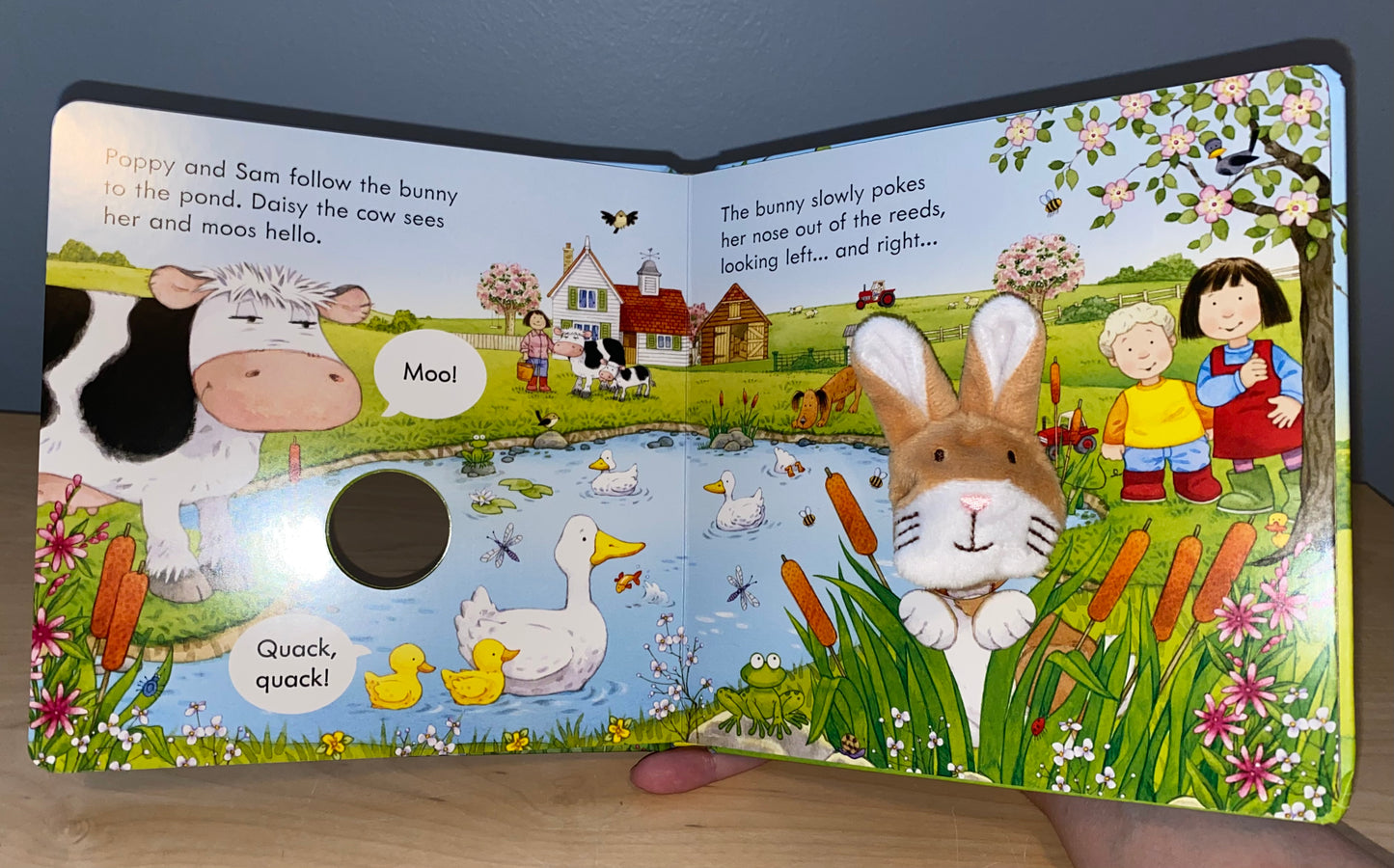 Poppy and Sam and the Bunny Finger Puppet Book