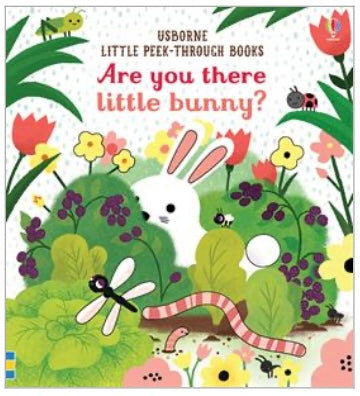 Are You There Little Bunny? Book