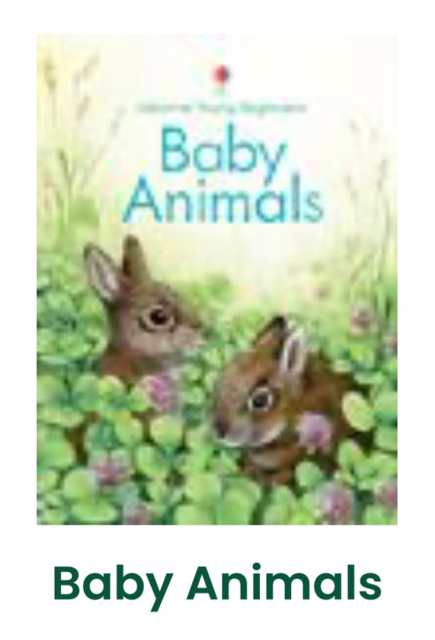 Baby Animals Book