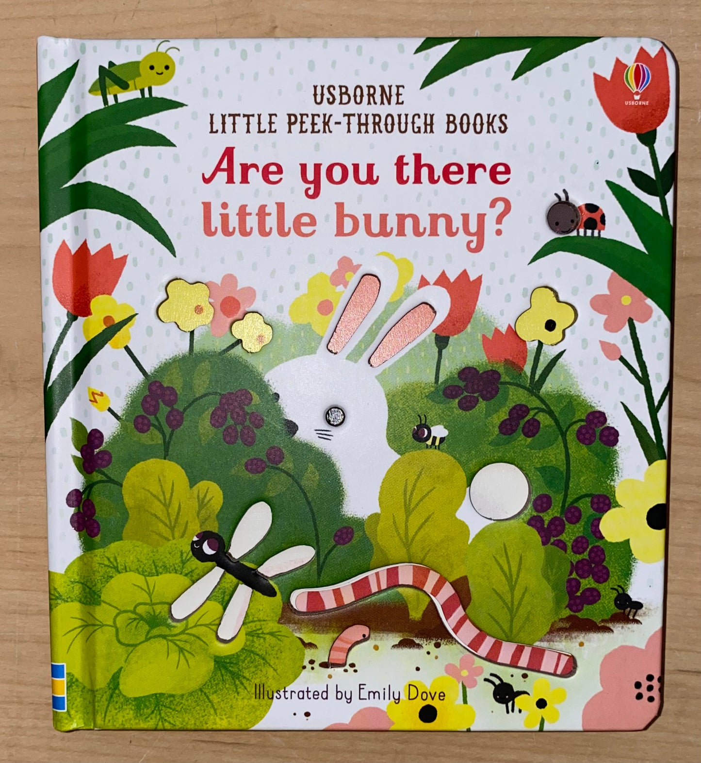 Are You There Little Bunny? Book