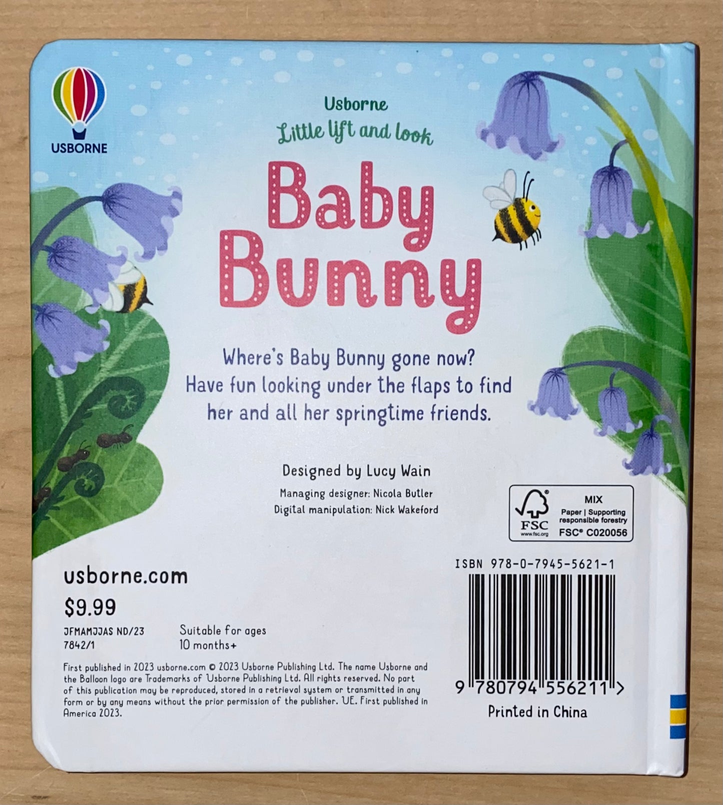 Little Lift and Look Bunny Book