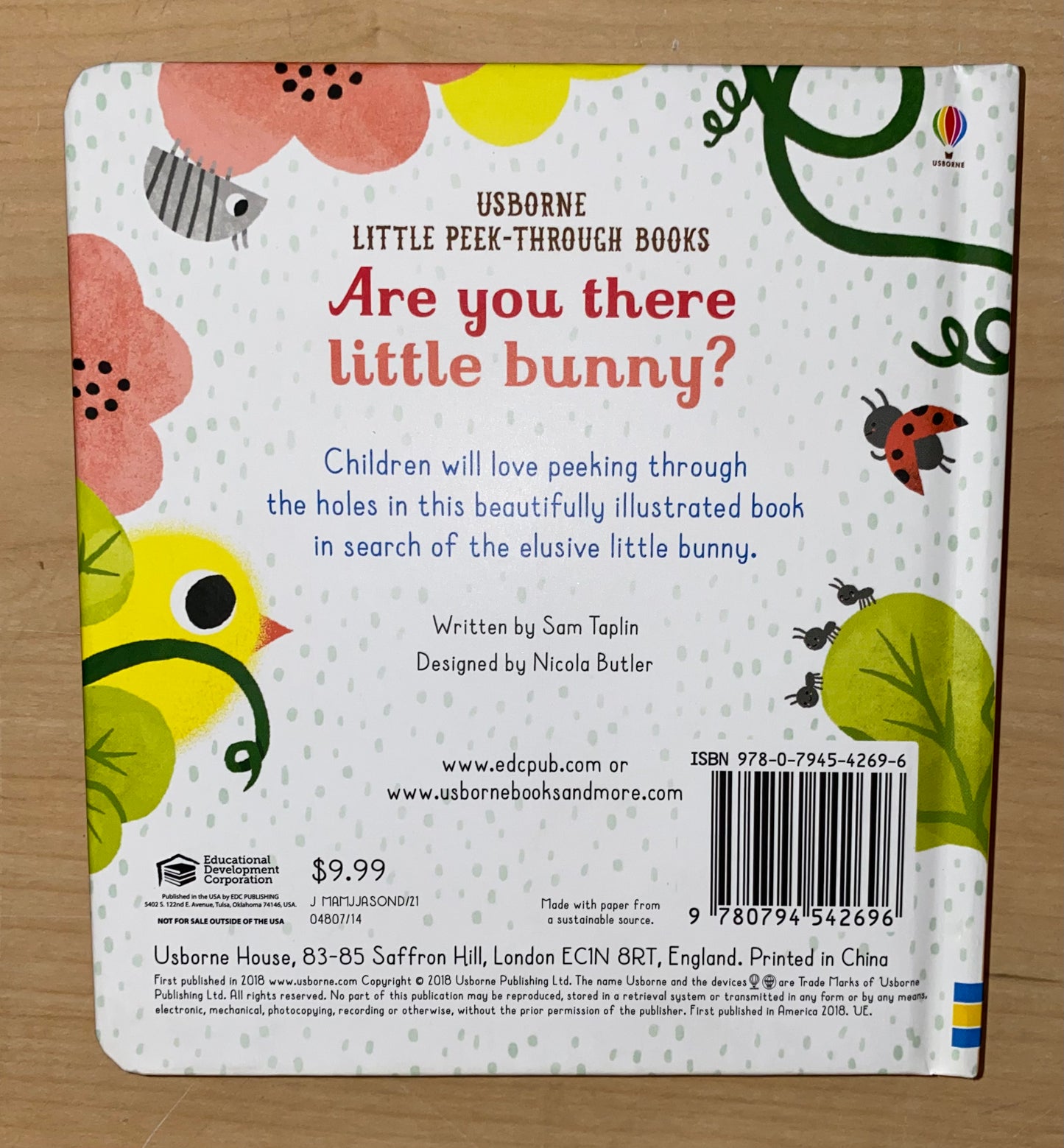 Are You There Little Bunny? Book